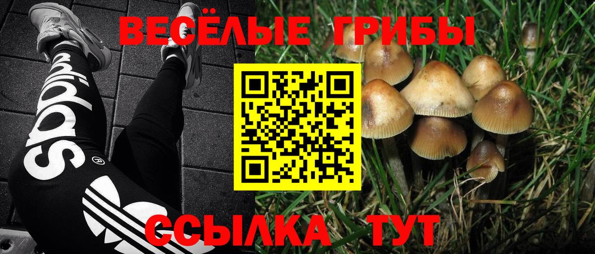 Галлюциногенные грибы GOLDEN TEACHER Тихвин