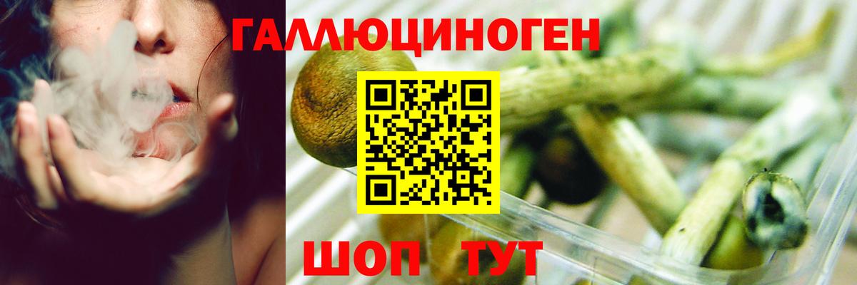 Галлюциногенные грибы прущие грибы  Вход с VPN  Тихвин  Псилоцибиновые грибы Magic Shrooms 